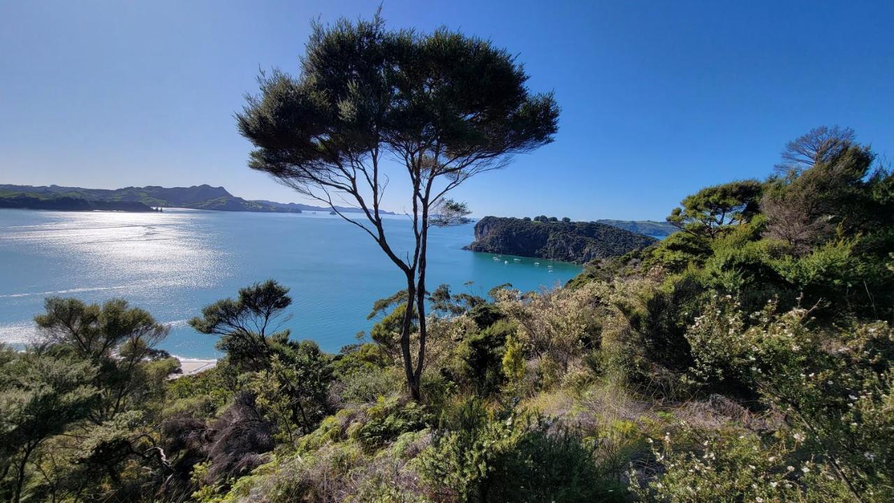 Margaritaville Hahei Dış mekan fotoğraf